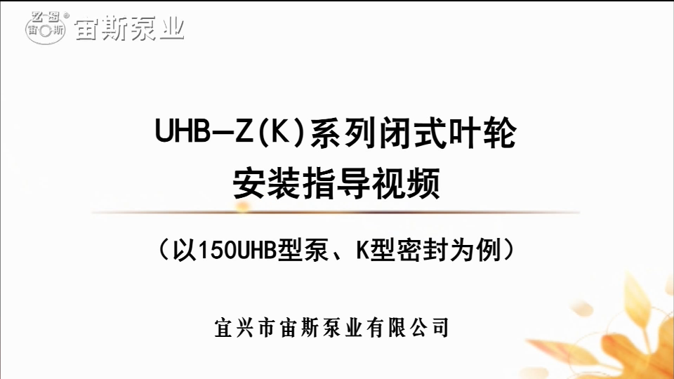 150UHB-ZK系列耐腐耐磨脫硫循環(huán)泵安裝指導(dǎo)